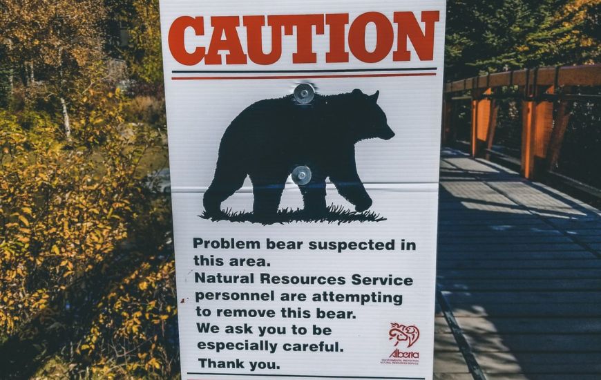 a bear warning sign i ncanmore alberta - bear safety