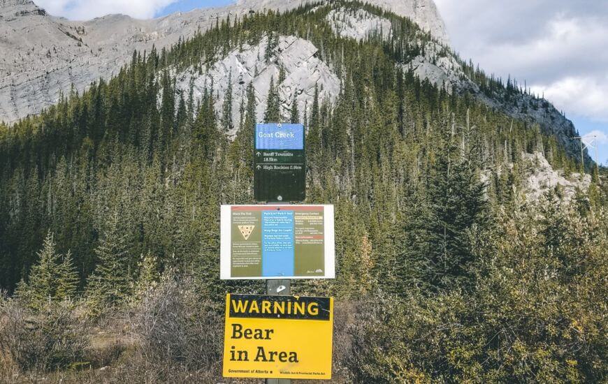 bear safety in canada with a sign in the rocky mountains