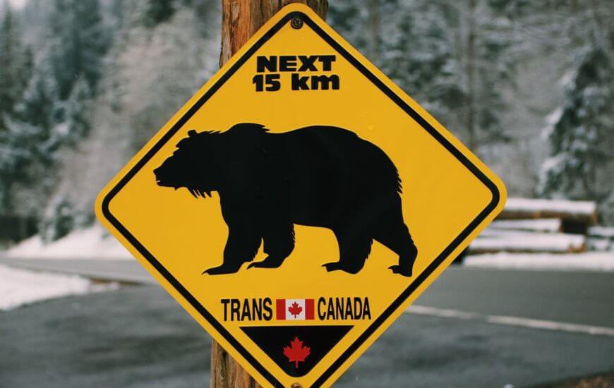 bear safety in canada yellow 15km warning sign