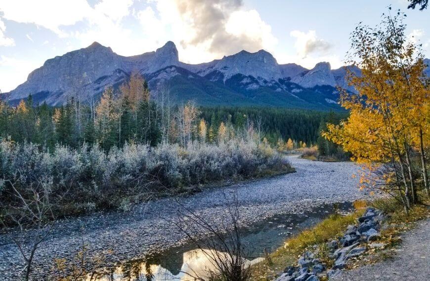this Larch island trail with trees is another hiking trail in canmore you can walk to