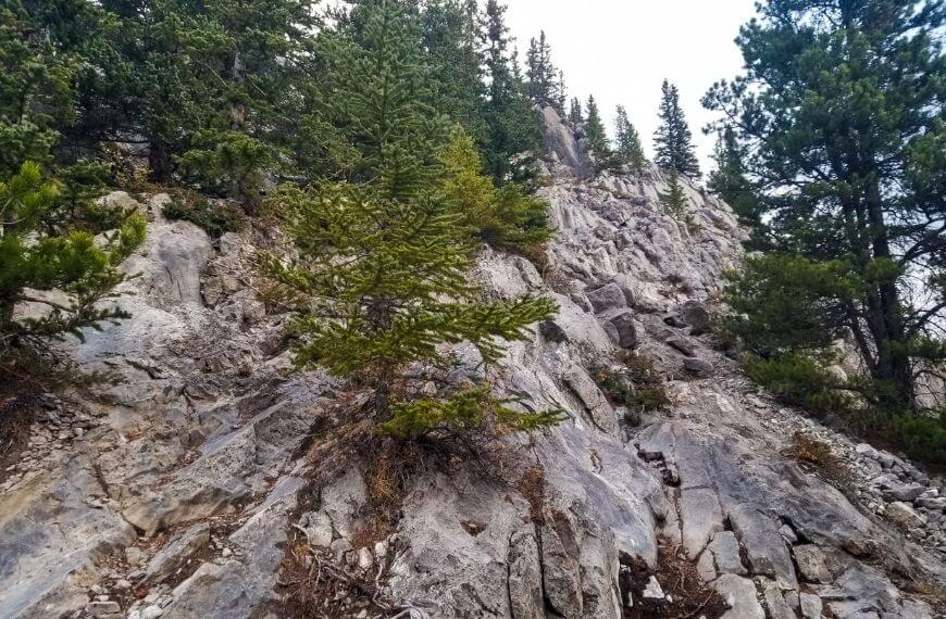 View up the mountain of rocky trail