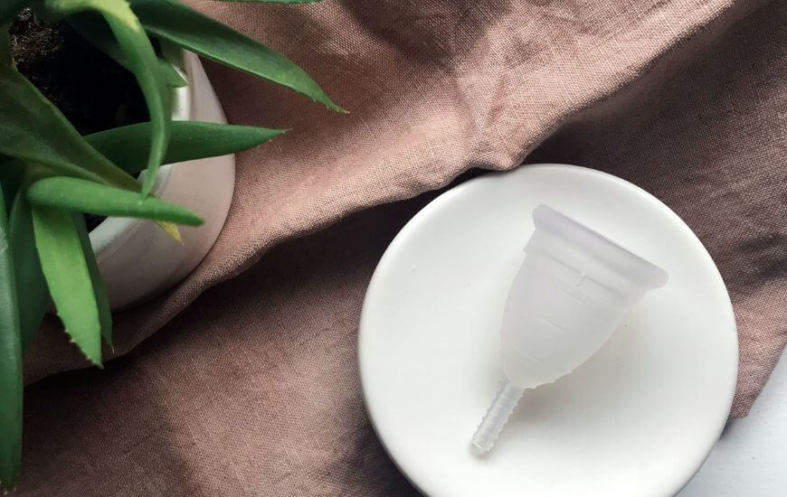 period cup on a plate 