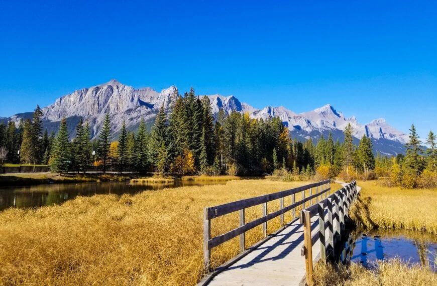 a straight section of boardwalk in canmore