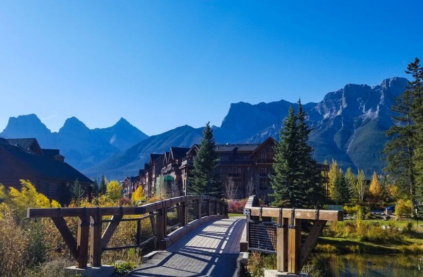 bridge from the forest trail to spring creek hotels