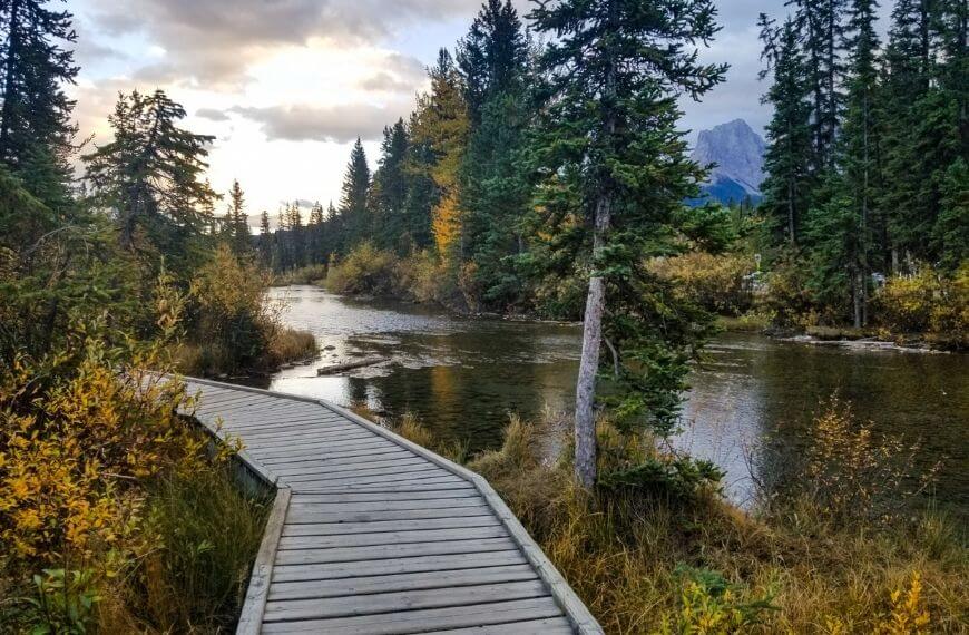the boardwalk and river in spring creek canmore