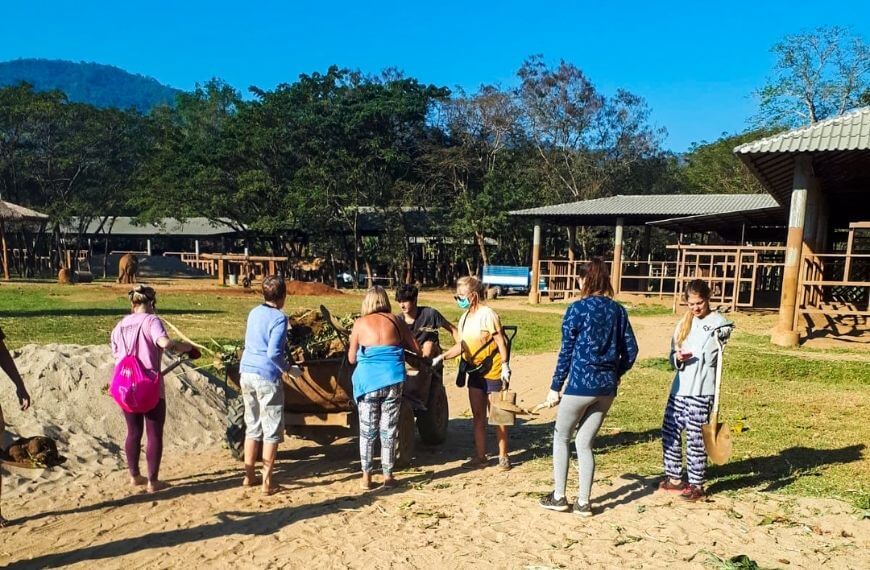 our group cleanin elephant stables at a sanctuary in chiang mai