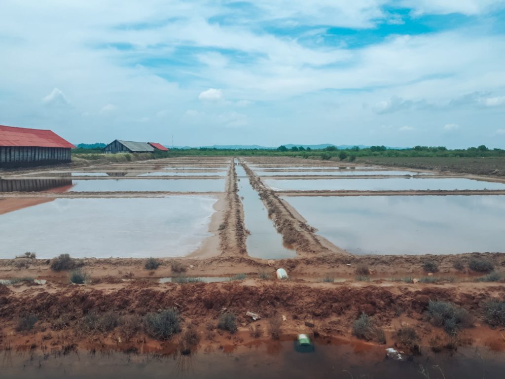 salt fields in cambodia - popular things to do
