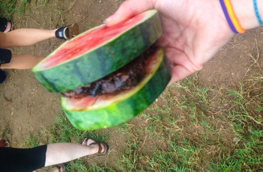 watermelon sandwich