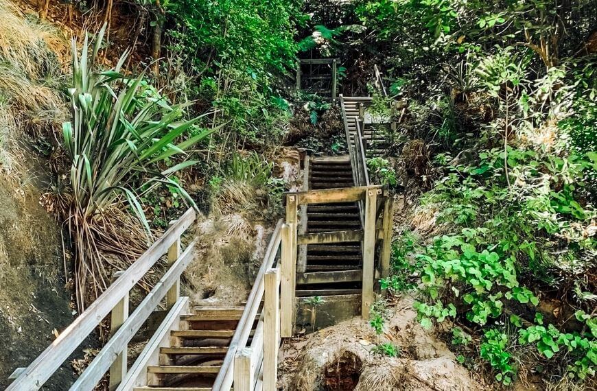 stairs from cathedral cove beach up to the concrete walkway