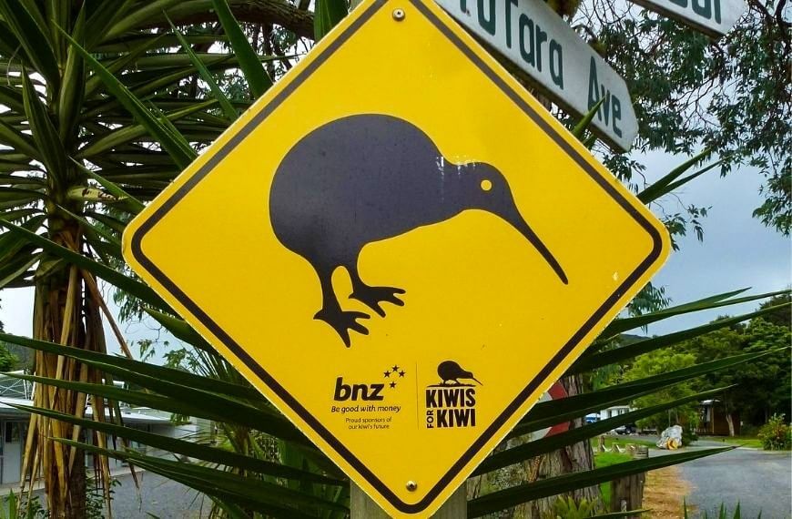 kiwi bird sign in new zealand - pros and cons to living in the country