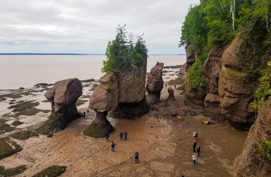 View of the Hopewell rocks at low tide