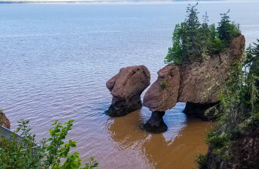 high tide at the hopewell rocks