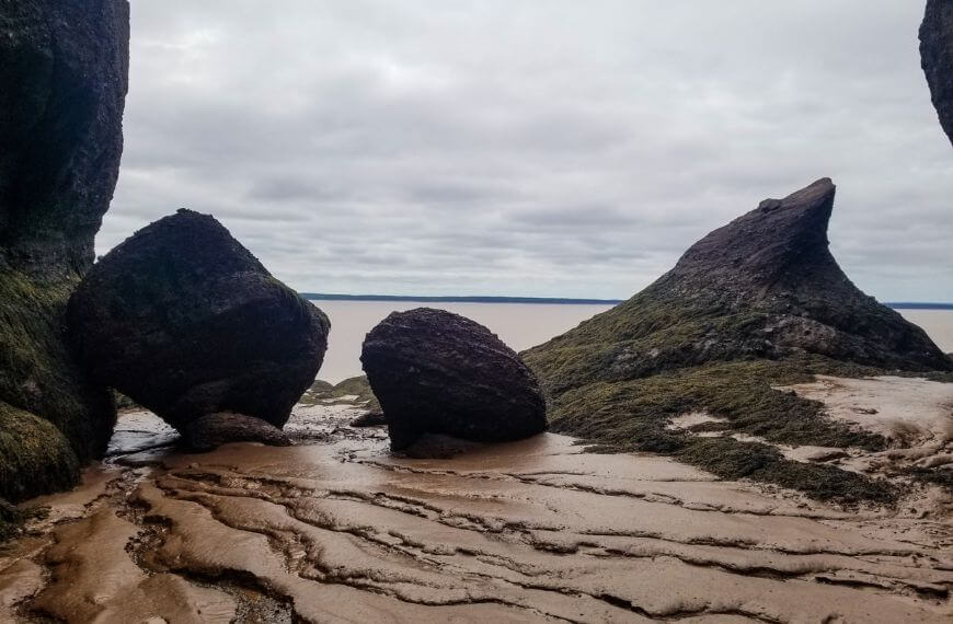 mud at low tide hopewell provincial park