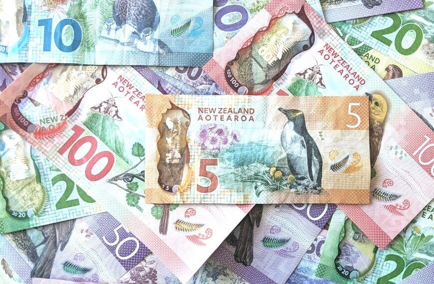 pile of new zealand currency - pros and cons of living in new zealand