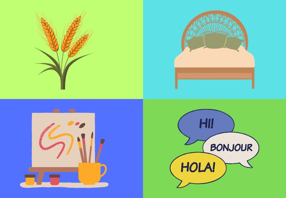 4 graphics of work stay categories. Corn for farming, bed for hospitality housekeeping, paint for artistic decoration and speech bubbles in other languages for language exchange