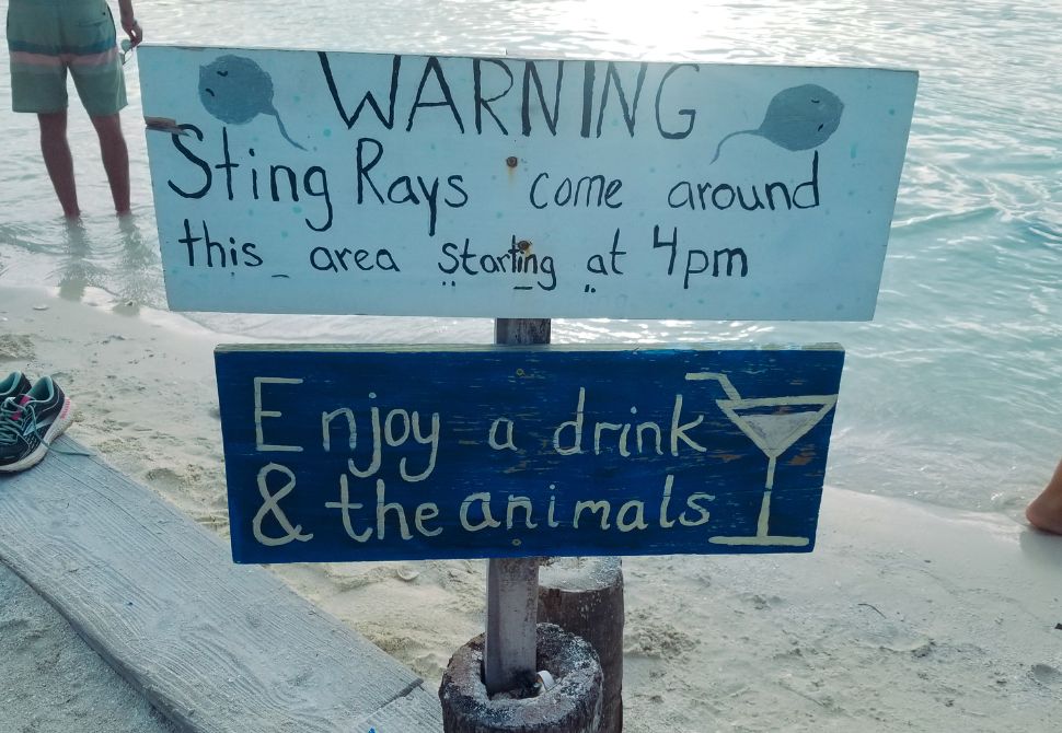 Signs at the stringrays beach in Caye Caulker