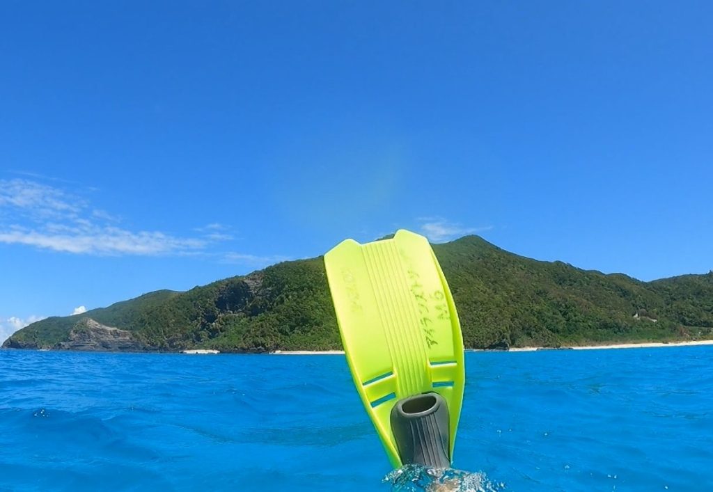 One of my neon flippers on 1 of 3 snorkelling day trips from Naha