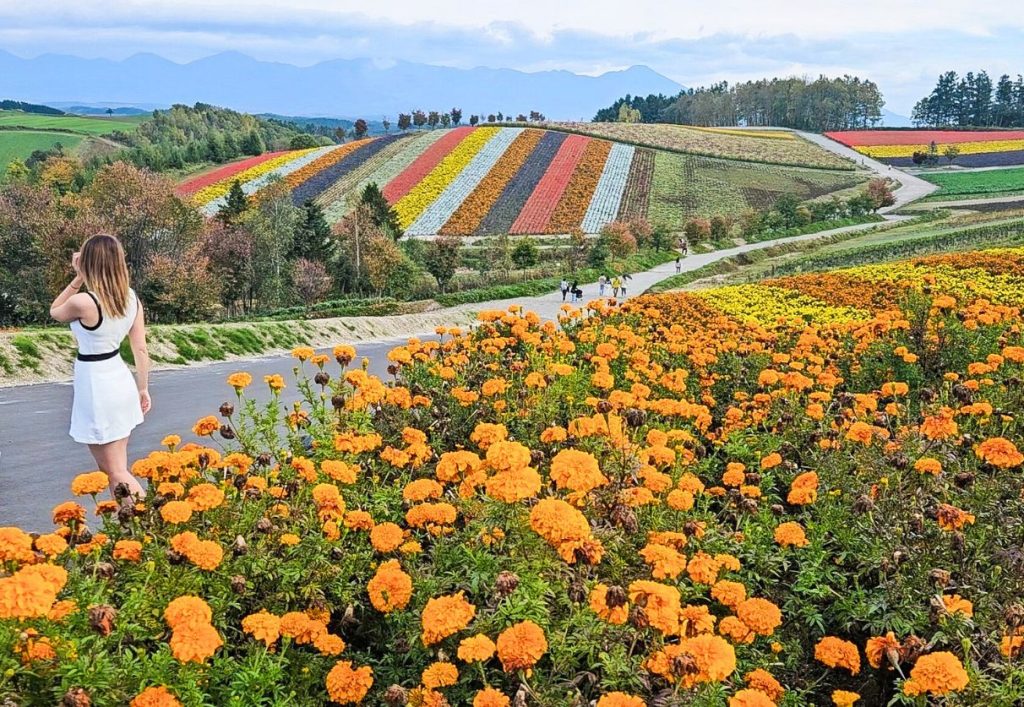Me standing in the Panoramic Flower fields garden