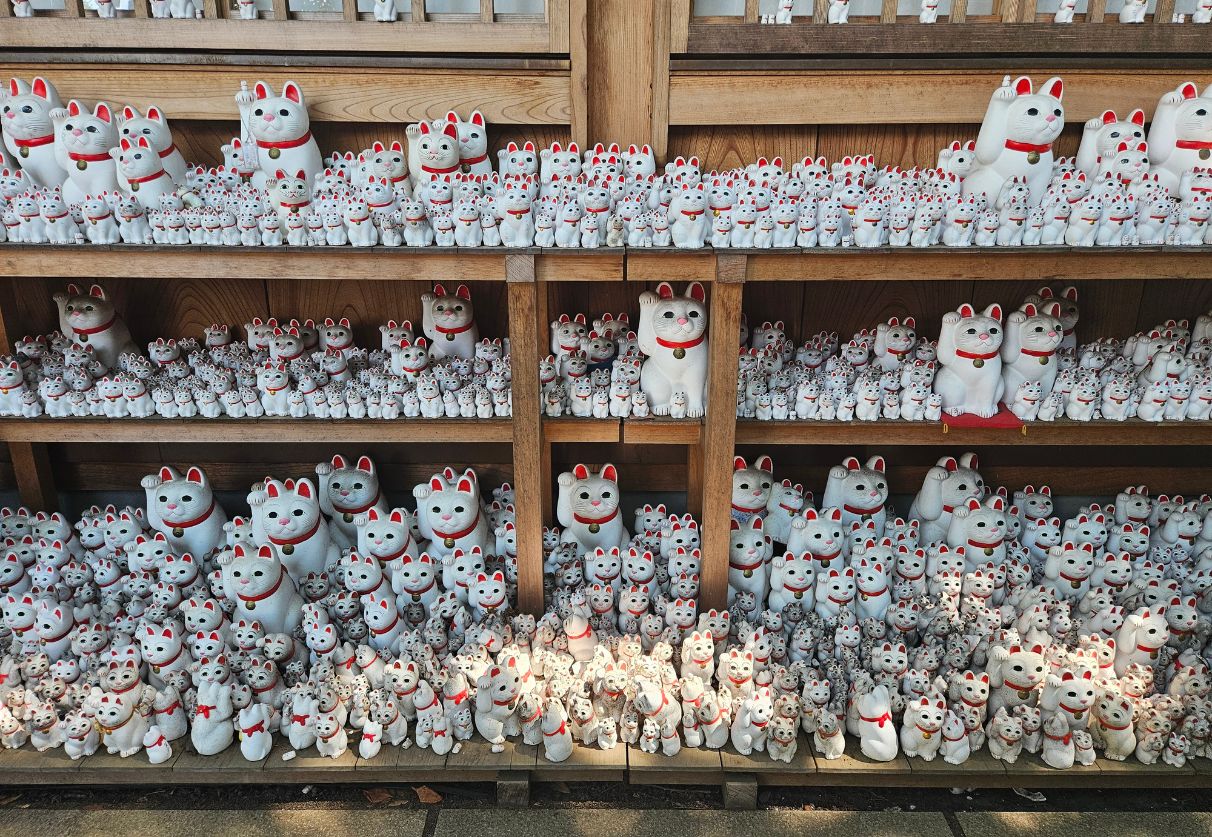 Shelves full of white cat figurines at the gotokuji temple in tokyo japan