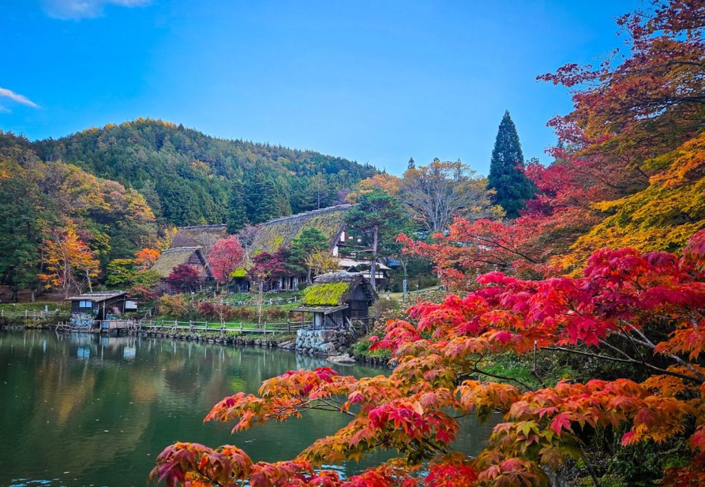 Autumn leaves at Hida no Sato