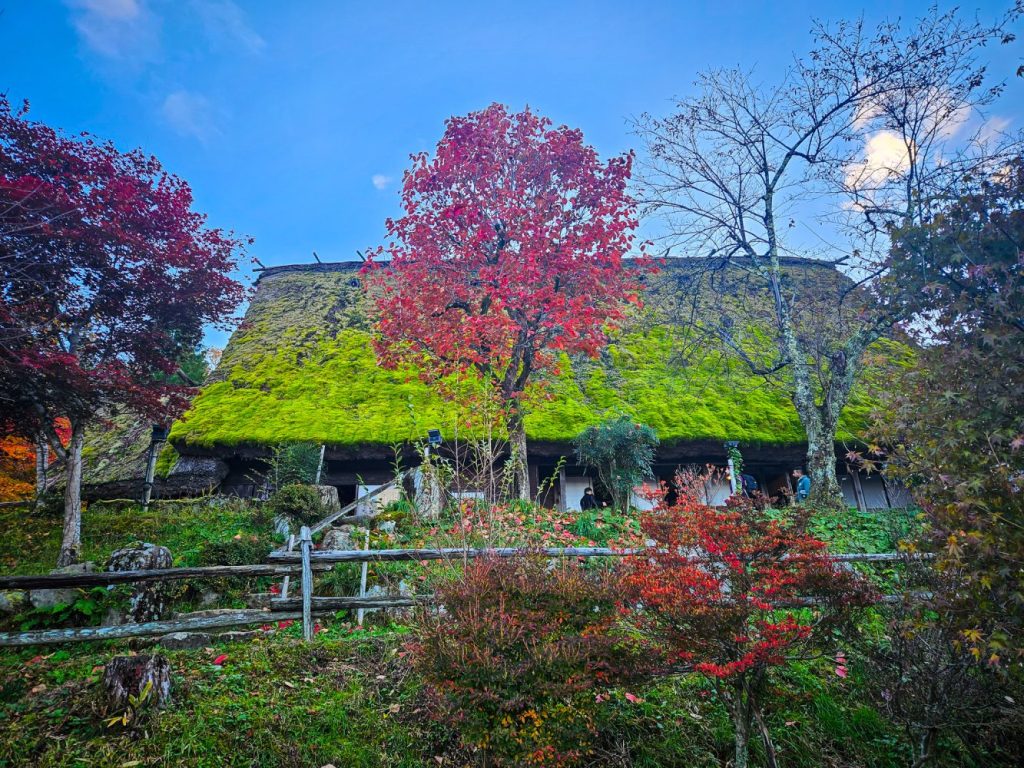 One of the traditional houses with a "living roof" in Hida no Sato