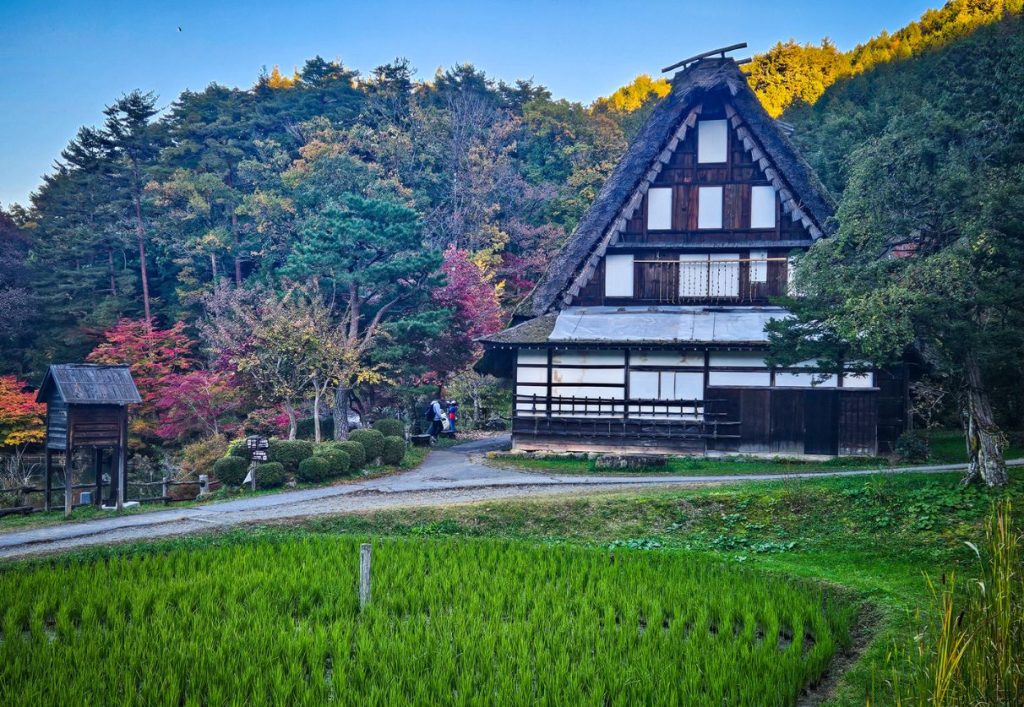 A large white farmhouse with small rice field in front - Hida no Sato